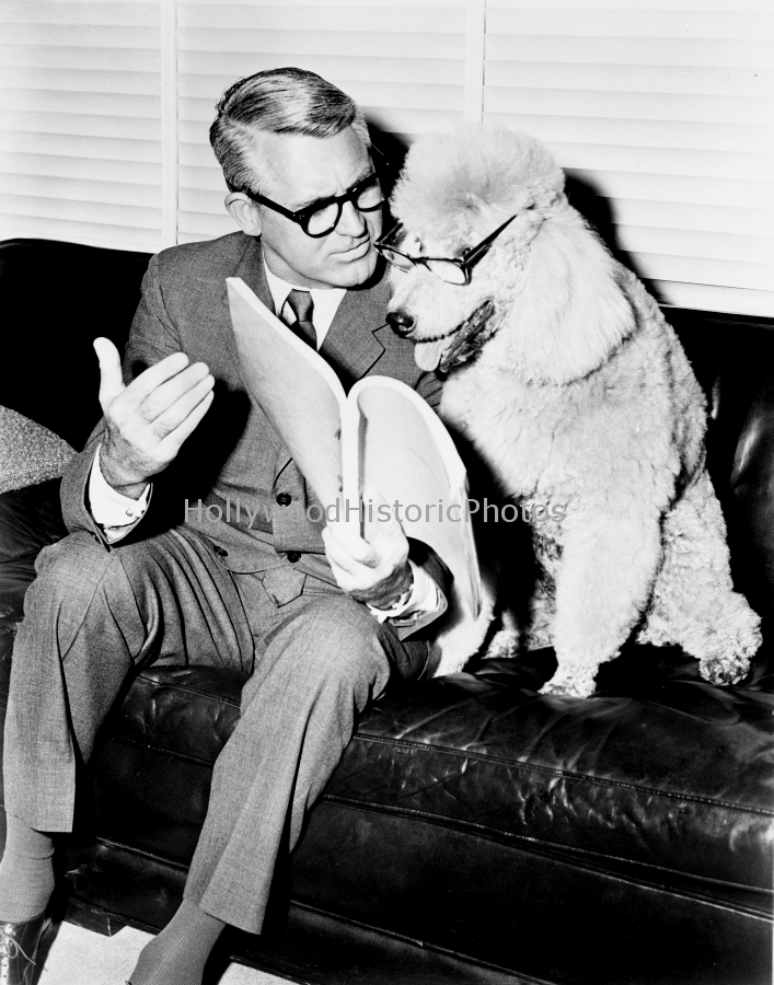 Cary Grant 1964 with his poodle reading a script.jpg